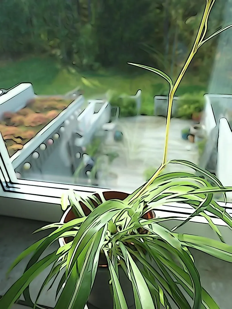 Garden House Close To Stockholm City 0*,  Suecia